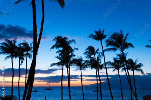 Palm trees and boats on the water at sunset, Maui, Hawaii, USA