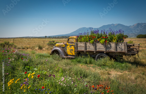 Old Truck in a flowery meadow