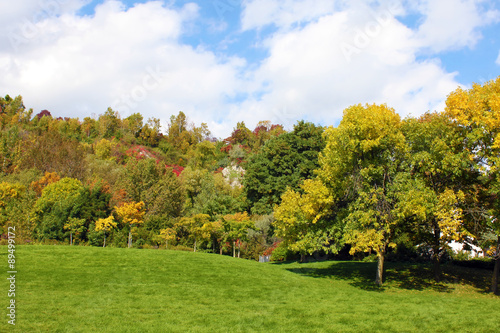 Fototapeta Naklejka Na Ścianę i Meble -  Fall foliage landscape