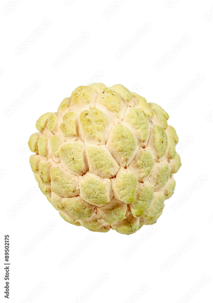 Fototapeta premium sugar apple