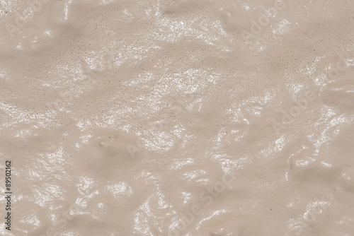 Shiny Mud Textrue