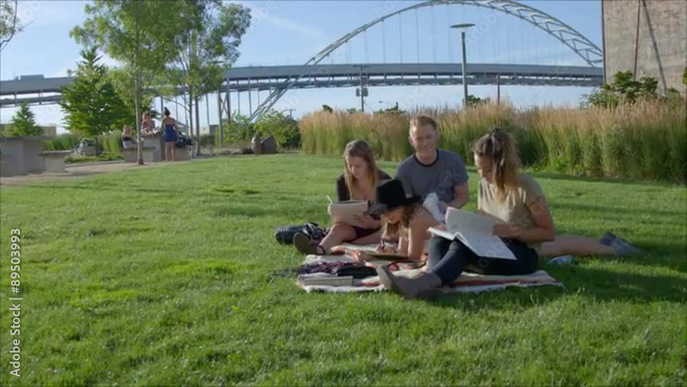 Wide shot of teenagers studying at the park Wide shot of teenagers studying at the park