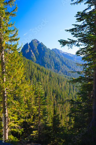Scenic view of another mountain in Mt. Rainier National Park.