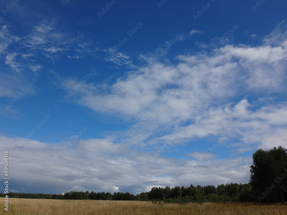 Белые облака над полем на сине-голубом летнем небе