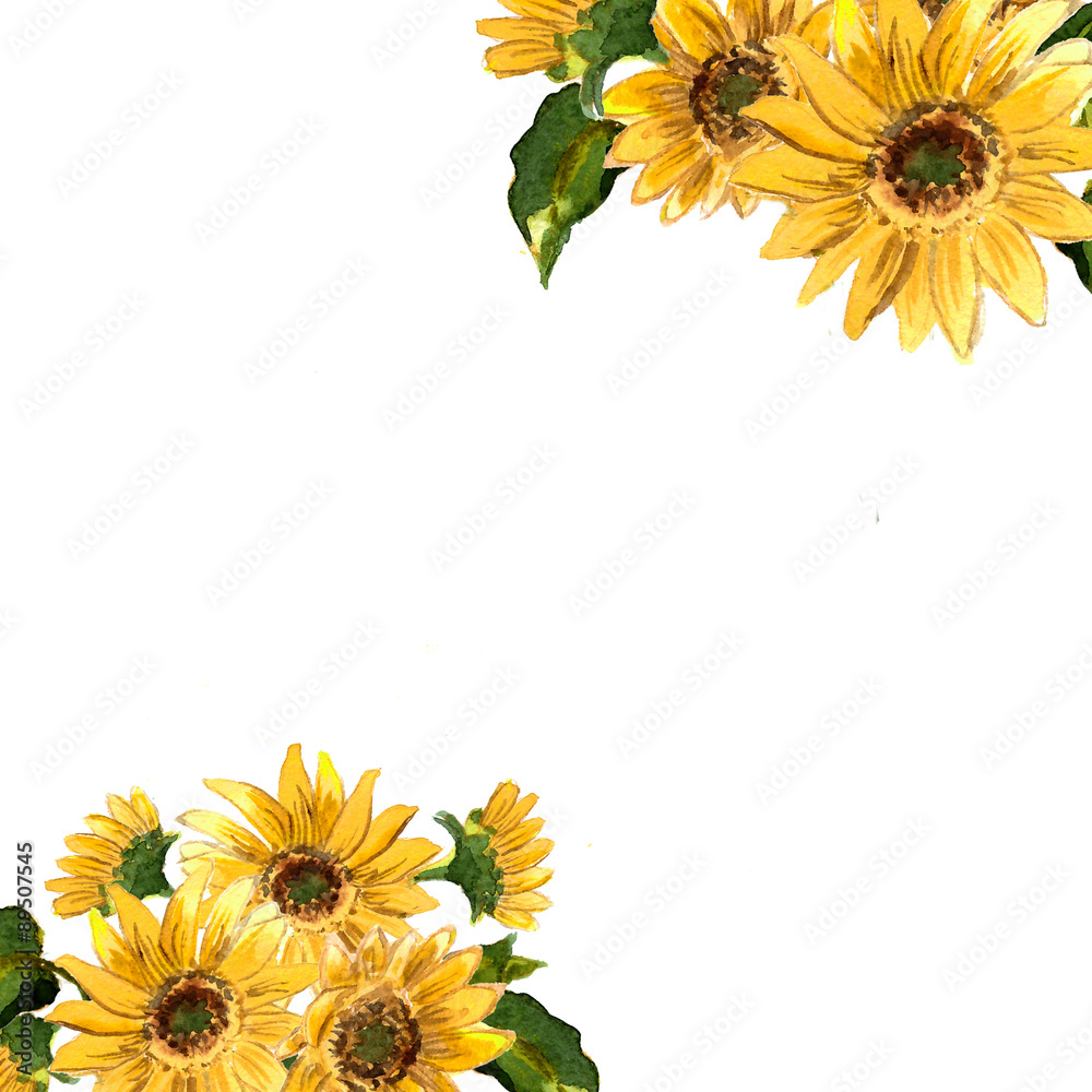 Naklejka premium The pattern of blooming yellow flowers sunflower painted in watercolor