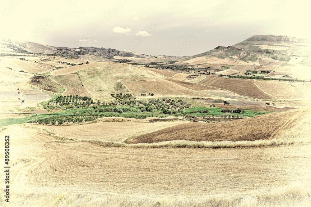 Obraz premium Stubble Fields