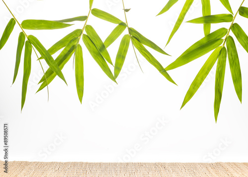 bamboo leaf isolate on white