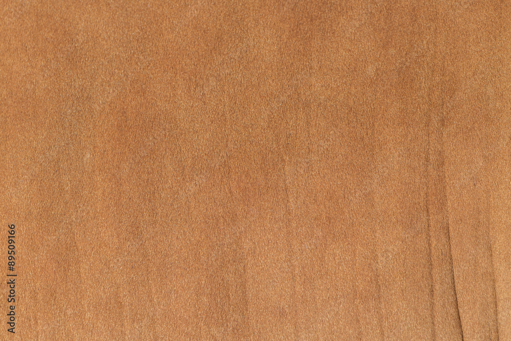 Fototapeta premium Cow Fur Skin Closeup Background. 
