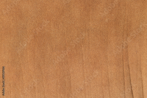 Cow Fur Skin Closeup Background.