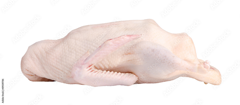 Fototapeta premium poultry, raw duck isolated on a white background
