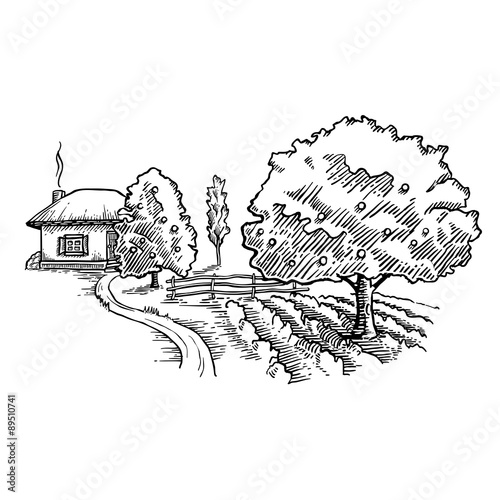 vector hand drawn country side with trees and house