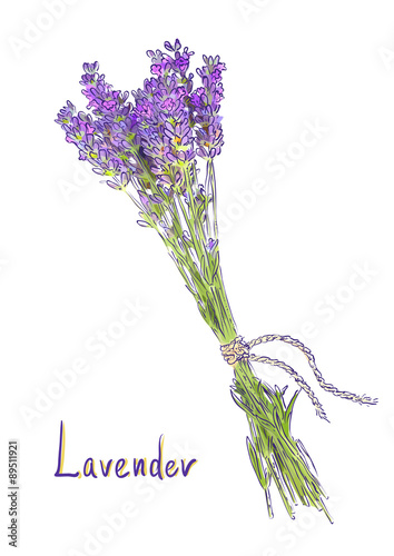 Hangs Lavender bunch with a jute rope