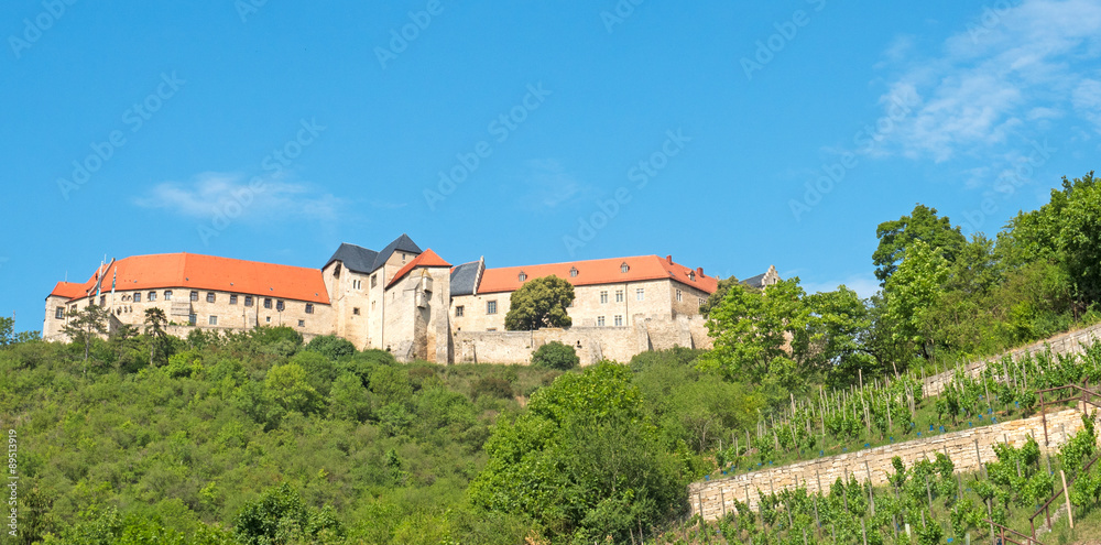 Burg Freyburg mit Weinberg