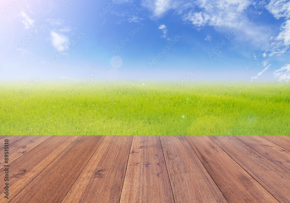 Bright spring with rice field and sunset background and wooden plank