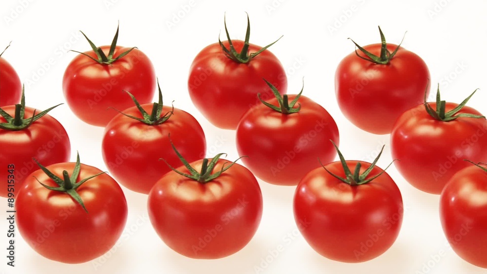 Fresh tomatoes in rows Fresh tomatoes in rows