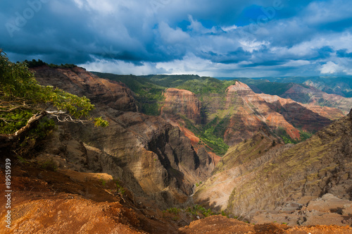 Overlooking Waimea Canyon State Park, Kauai, Hawaii, USA © Don Landwehrle
