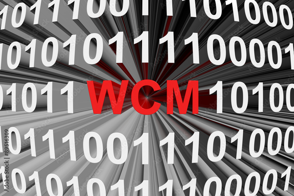 WCM is presented in the form of binary code 