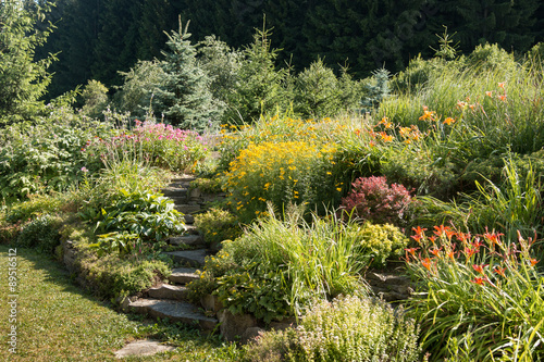 Fototapeta Naklejka Na Ścianę i Meble -  typical british garden with stone stairs and diversity of colorful flowers as hellebores, daylily, berberis and coreopsis