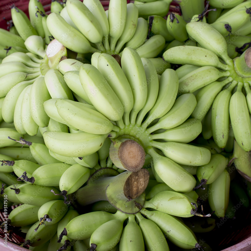 Green banana bundle in basket ready to sell