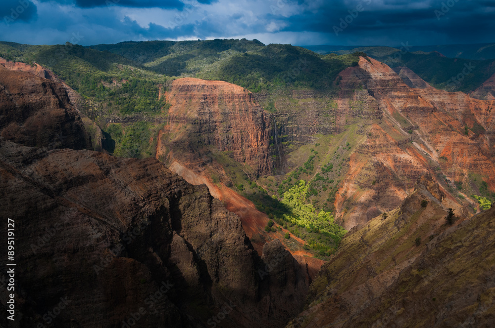 Overlooking Waimea Canyon State Park, Kauai, Hawaii, USA