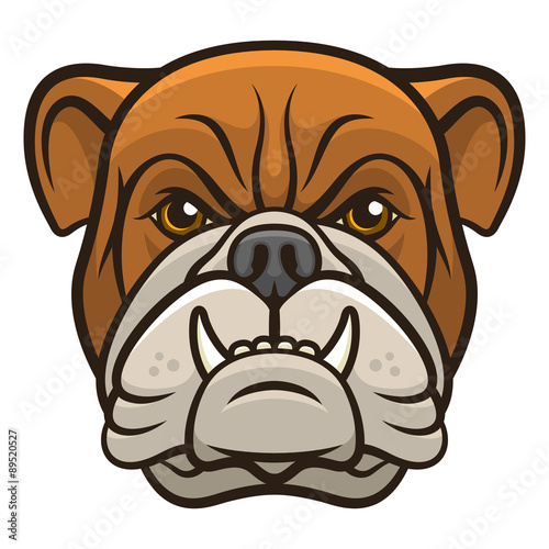 Bulldog 002