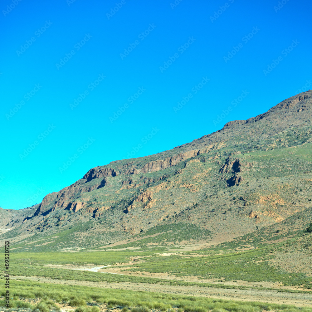 brown bush in valley morocco africa the atlas dry m brown bush in valley morocco africa the atlas dry m