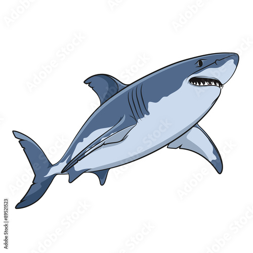 Vector drawing of a great white shark. Isolated objects on a white background.