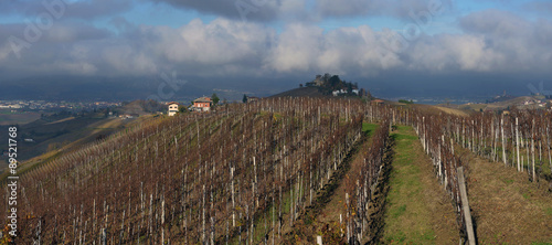 Piedmont Vineyards auttumn
