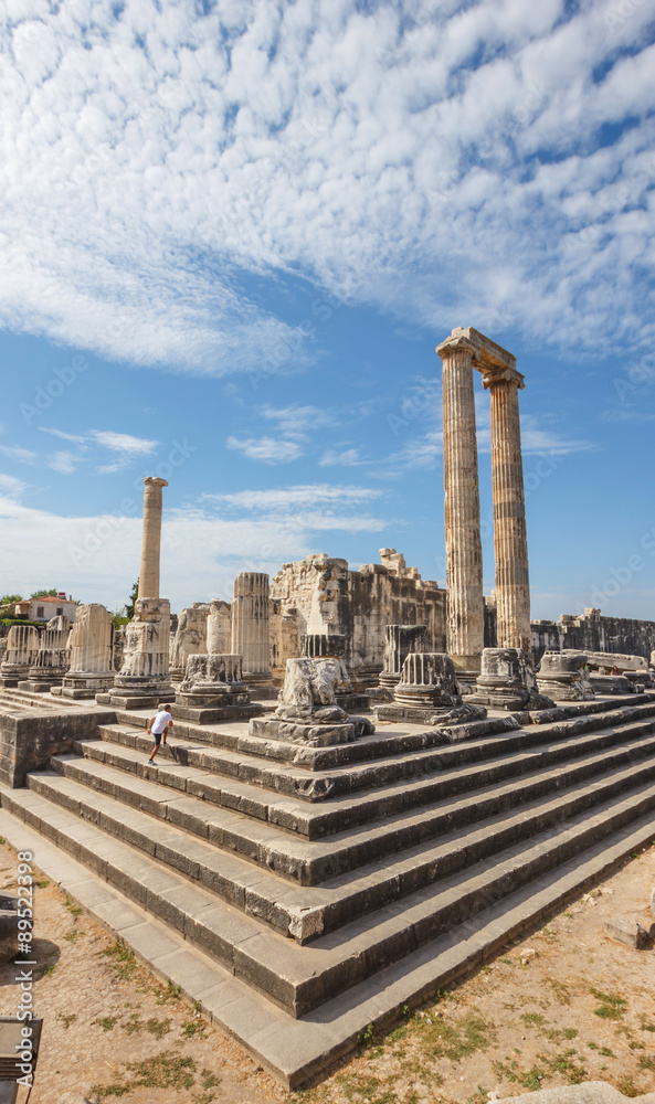 Fototapeta premium view of temple of Apollo in Didim