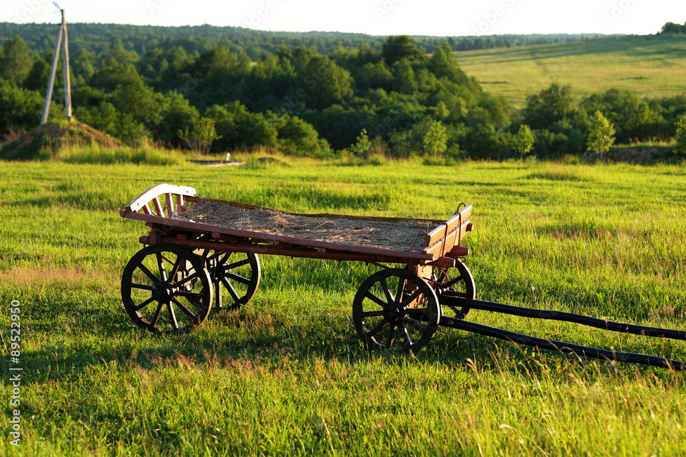 Rural landscape with wooden cart