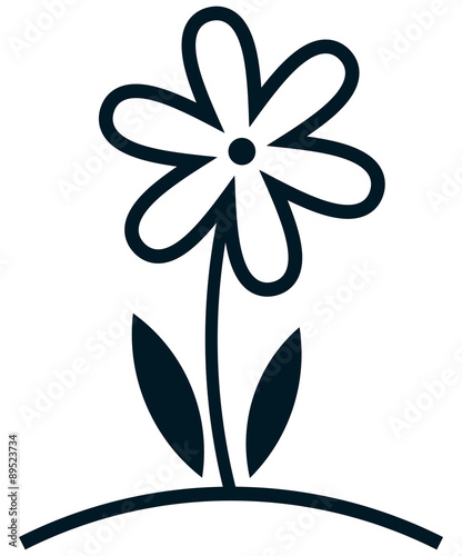 Flower isolated on white background