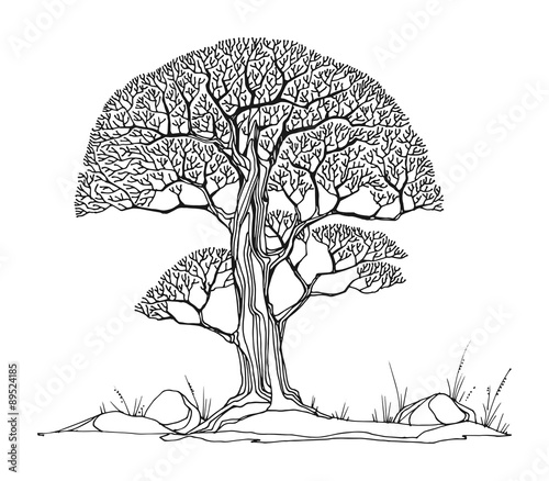 Hand drawing sketch of tree