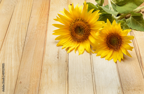Two sunflowers on the wooden table