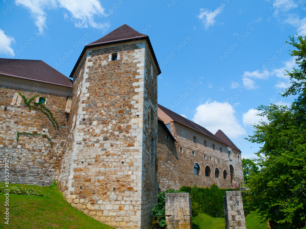 Fortification of Ljubljana Castle