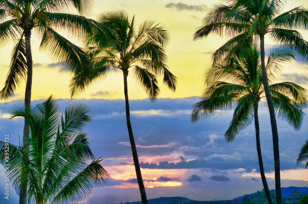 Palm trees silhouetted against a tropical sunset, Kauai, Hawaii,