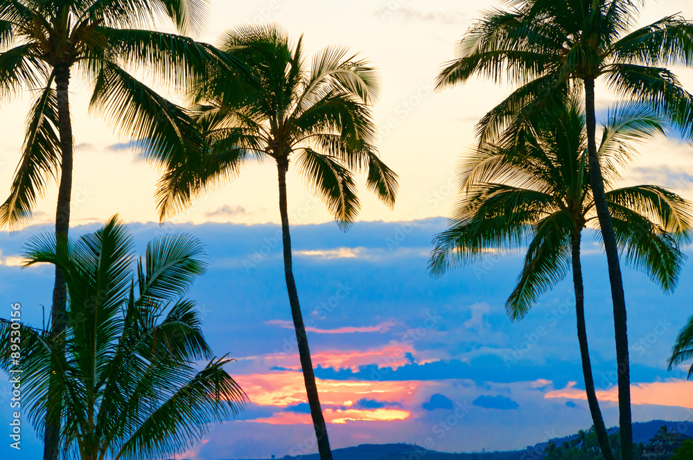 Fototapeta premium Palm trees silhouetted against a tropical sunset, Kauai, Hawaii,