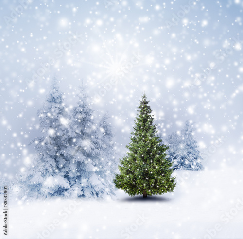 Christbaum im Winterwald