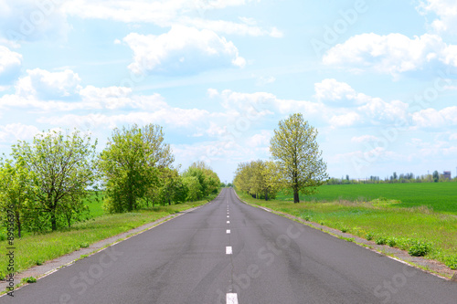 Asphalt road through the green field in spring day