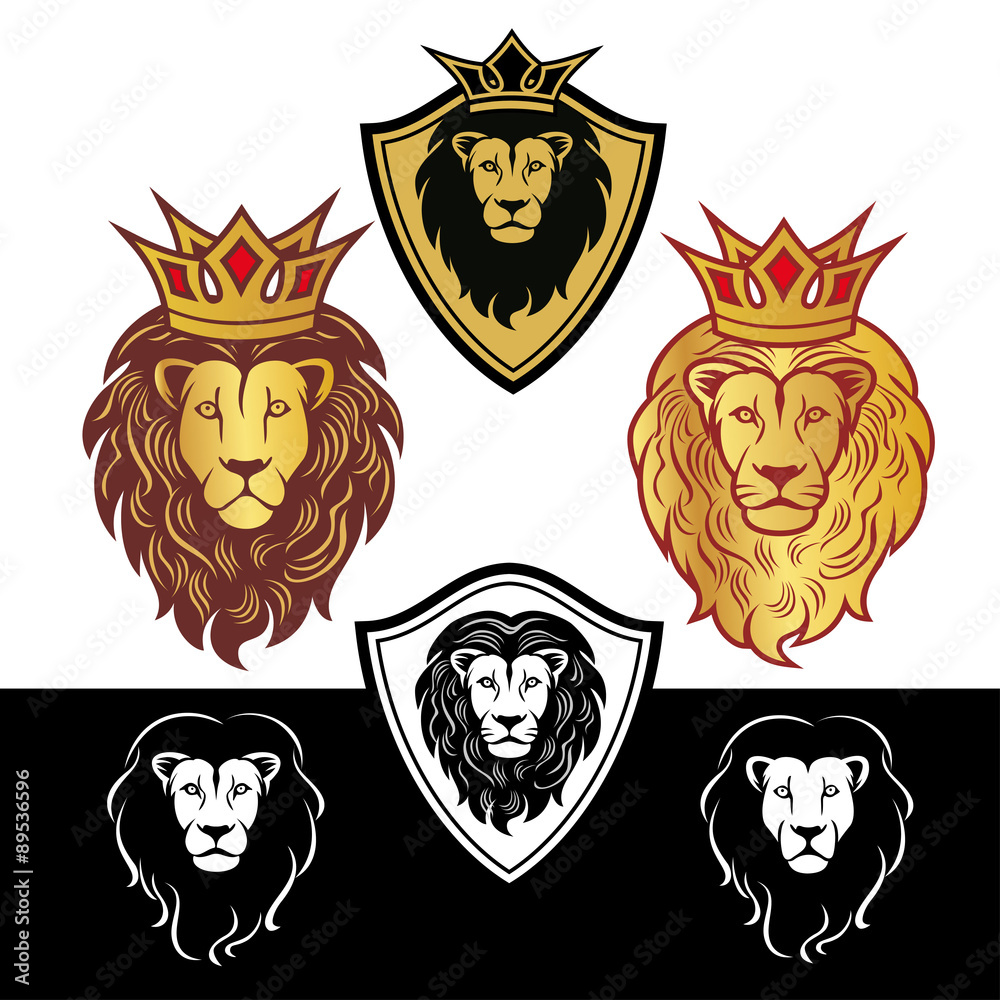 Fototapeta premium lion4