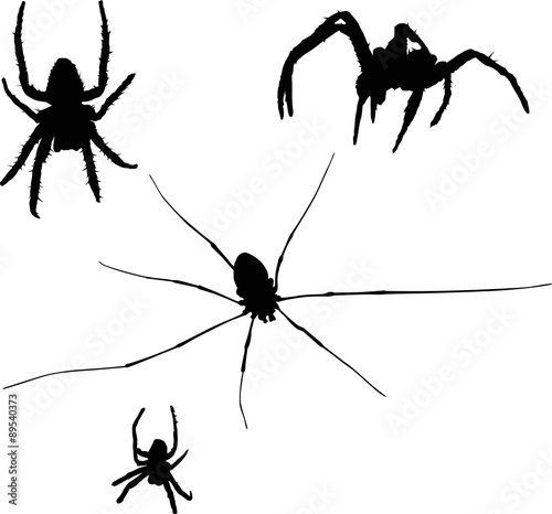 four black isolated spiders