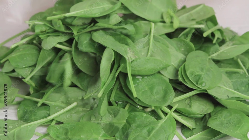 Baby spinach being patted dried with kitchen paper Baby spinach being patted dried with kitchen paper