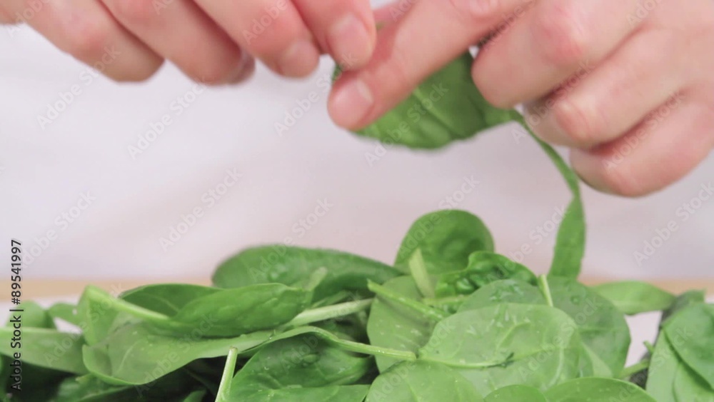 Stems being removed from baby spinach Stems being removed from baby spinach