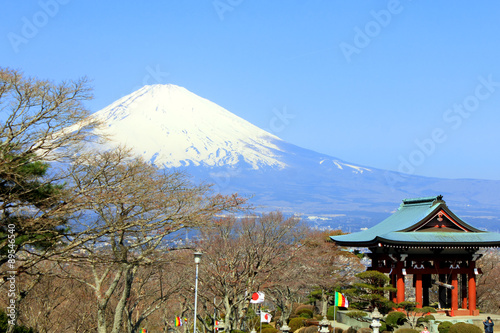 御殿場　平和公園からの富士山 photo