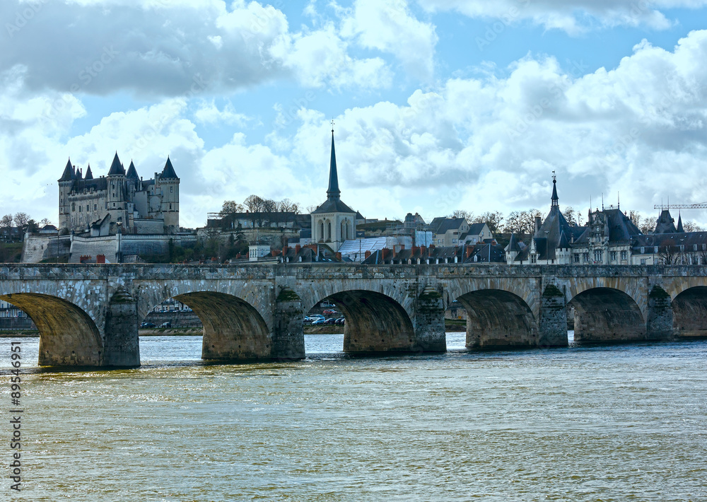 Saumur castle on Loire river (France) spring view.