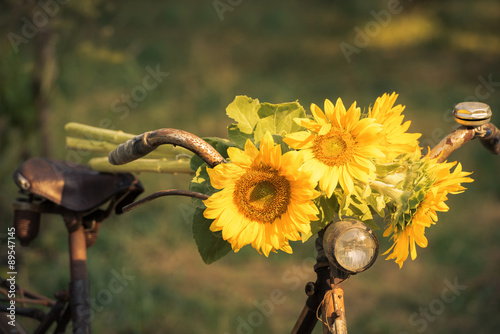 Fototapeta Naklejka Na Ścianę i Meble -  Altes Fahrrad mit Sonnenblumen
