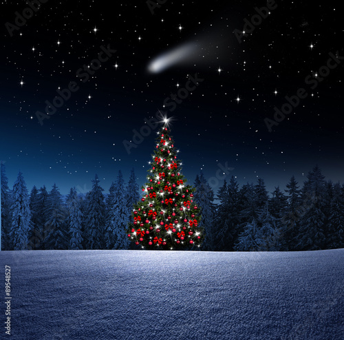 Weihnachtsbaum bei Nacht