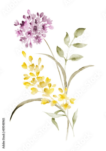 Wallpaper Mural watercolor illustration flowers in simple background Torontodigital.ca