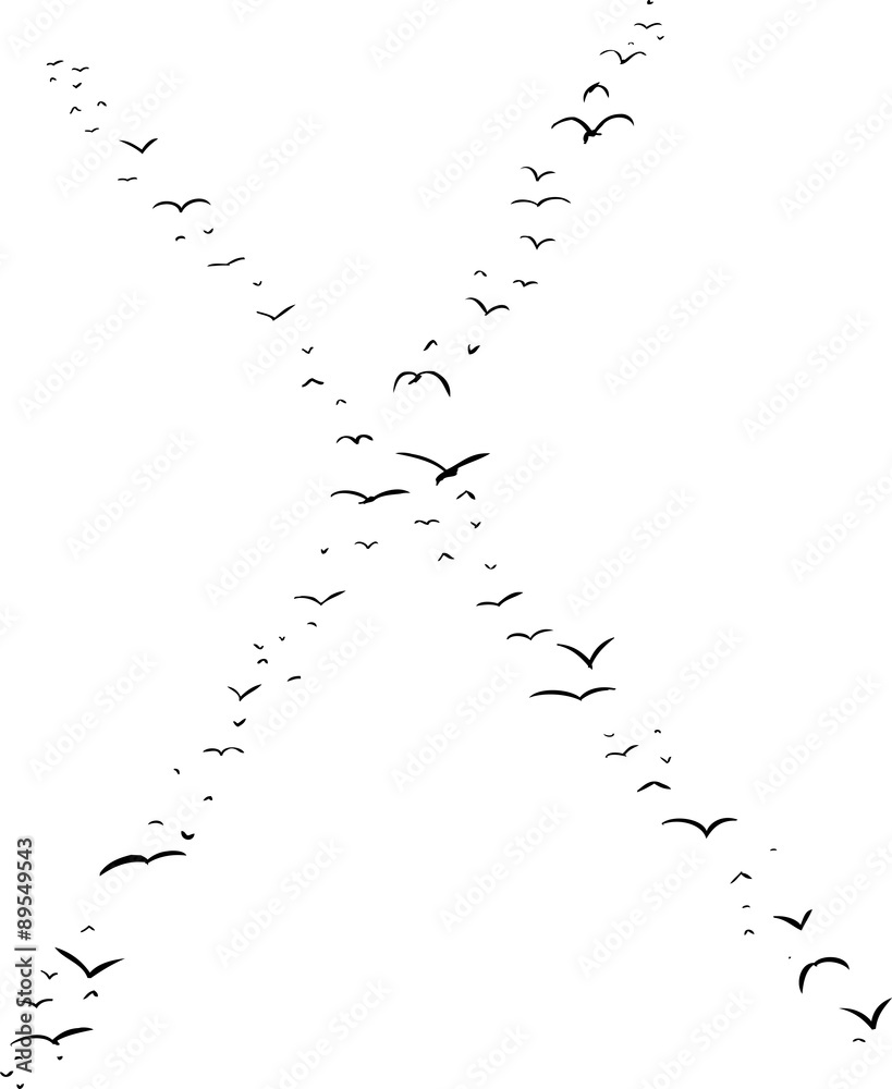 Bird Formation In X