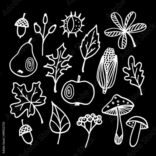 Set of chalk autumn, fall elements, various leaves, apple, pear