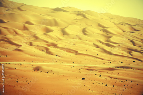 Amazing sand dune formations in Liwa oasis  United Arab Emirates